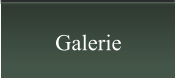 Galerie